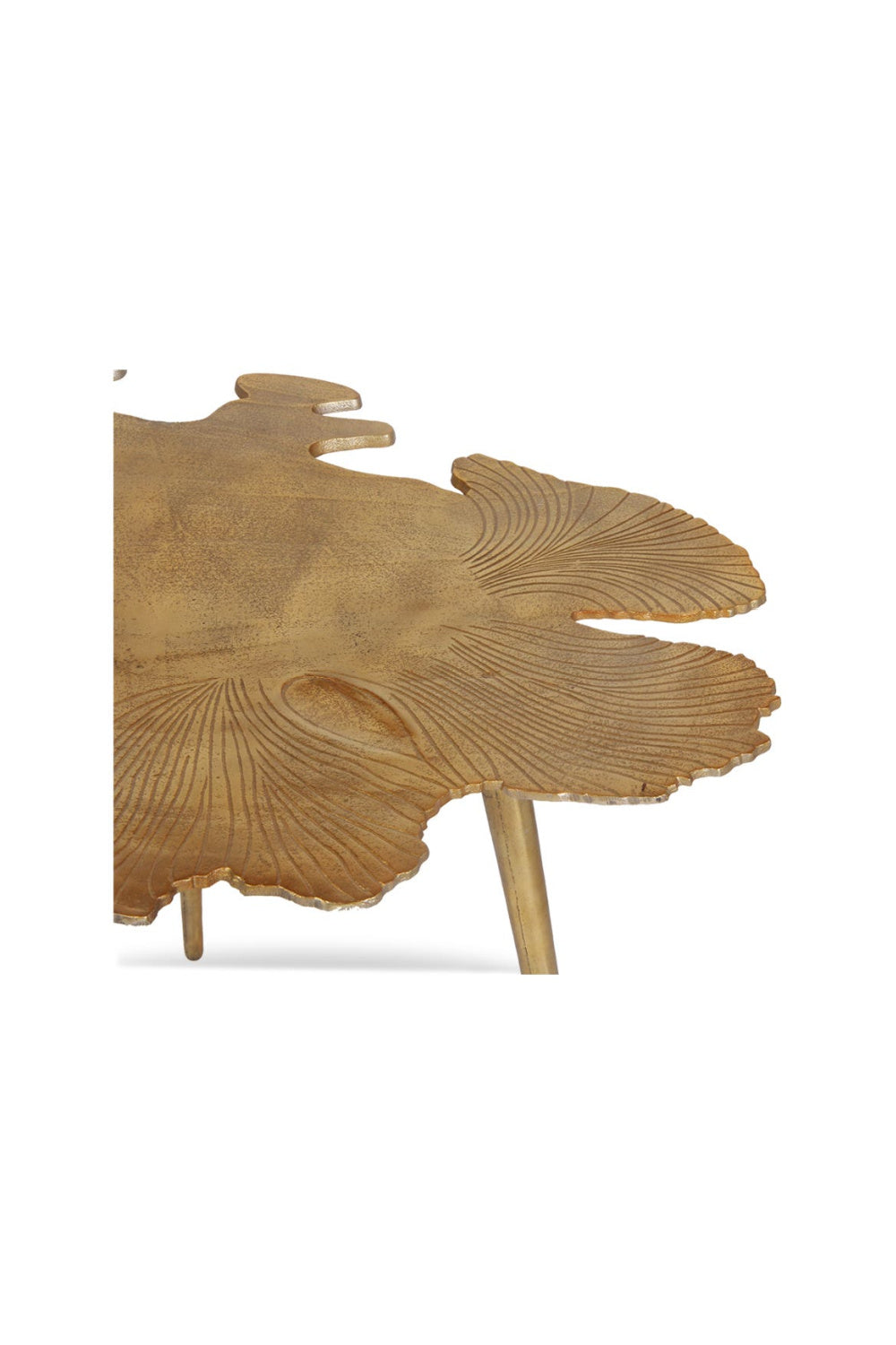 Modern European furniture - Polished Gold Accent Table - www.oroa.com