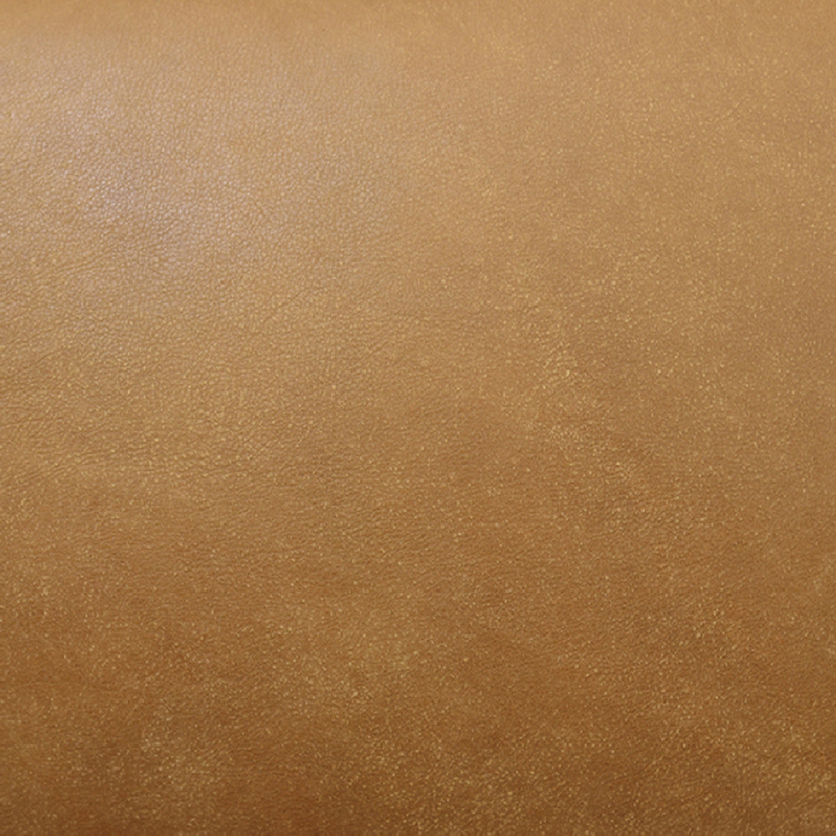 Modern European furniture - Walnut Framed Leather Accent Chair - www.oroa.com | Oroa.com