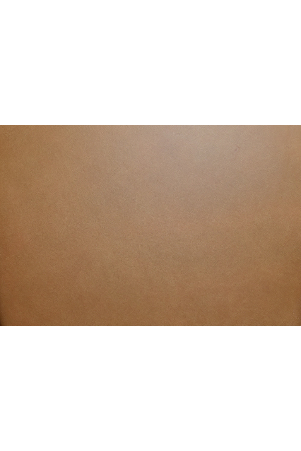 Modern European furniture - Wooden Padded Dining Chairs - www.oroa.com