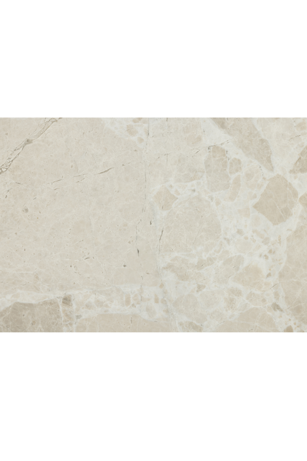 Round Marble Pedestal Coffee Table | Novi Living Sage | Oroa.com