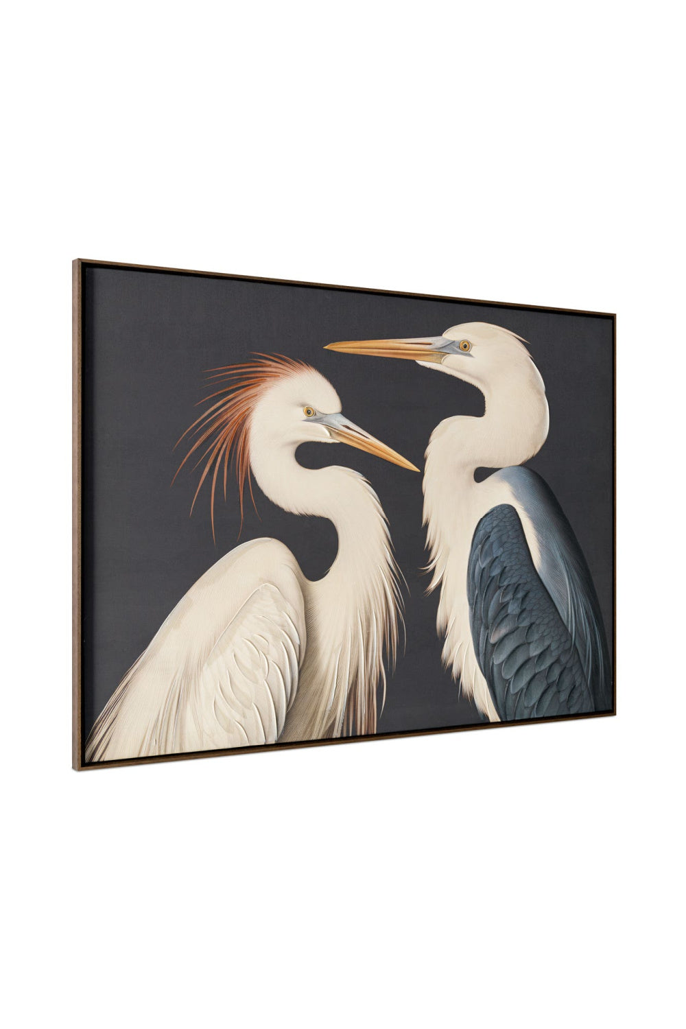 Modern European furniture - Contemporary Framed Acrylic Wall Art- www.oroa.com