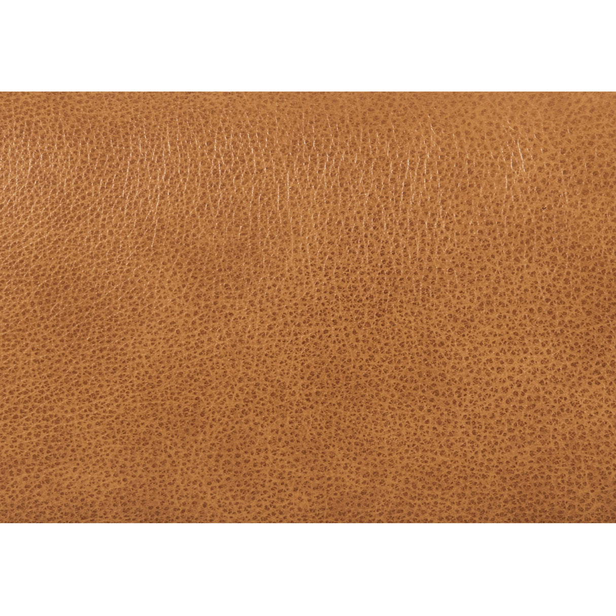 Modern European furniture - Brown Upholstered Bench - www.oroa.com | Oroa.com