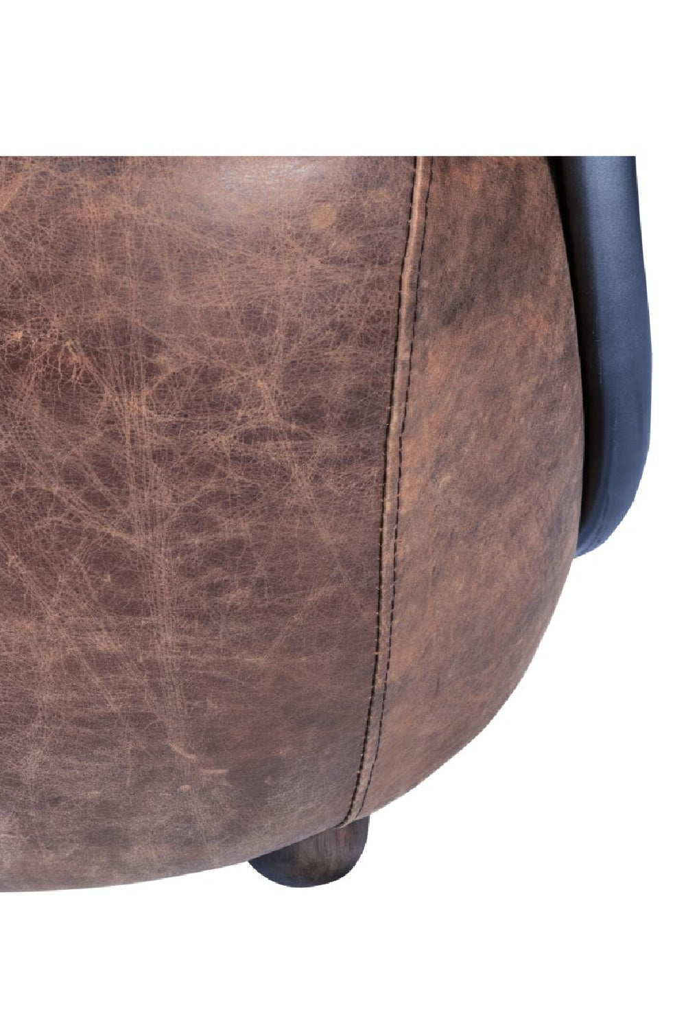 Modern European furniture - Brown Leather Club Chair - www.oroa.com