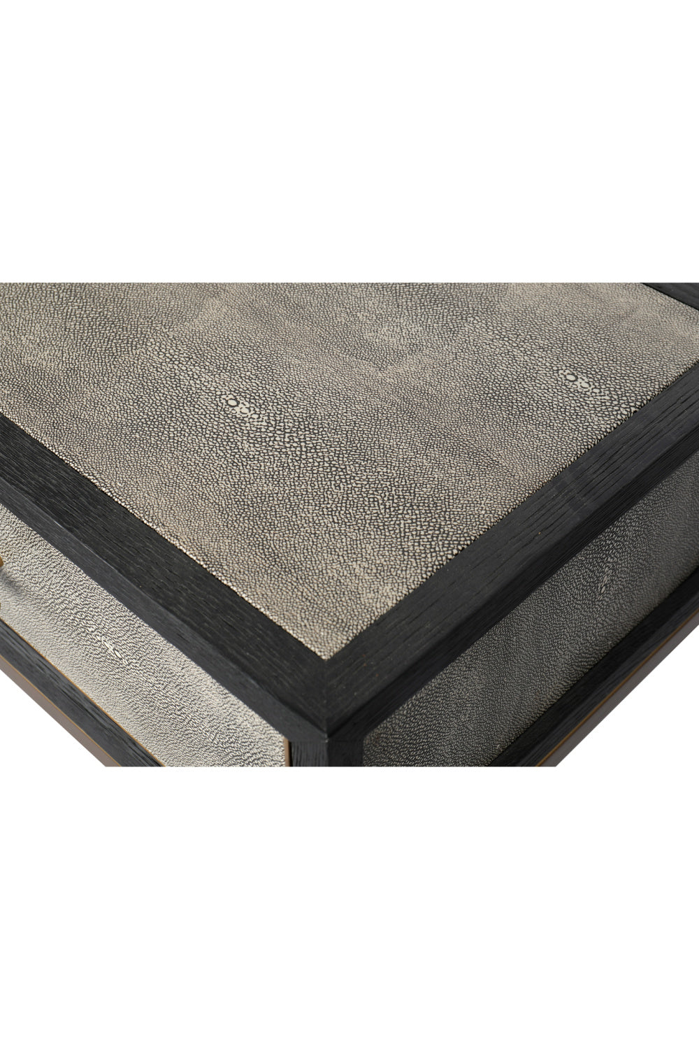 Modern European furniture - Gray Shagreen 2-Drawer Console Table - www.oroa.com | Oroa.com