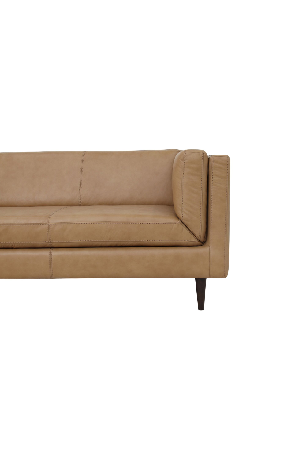 Modern European furniture - Top Grain Leather Sofa - www.oroa.com | Oroa.com