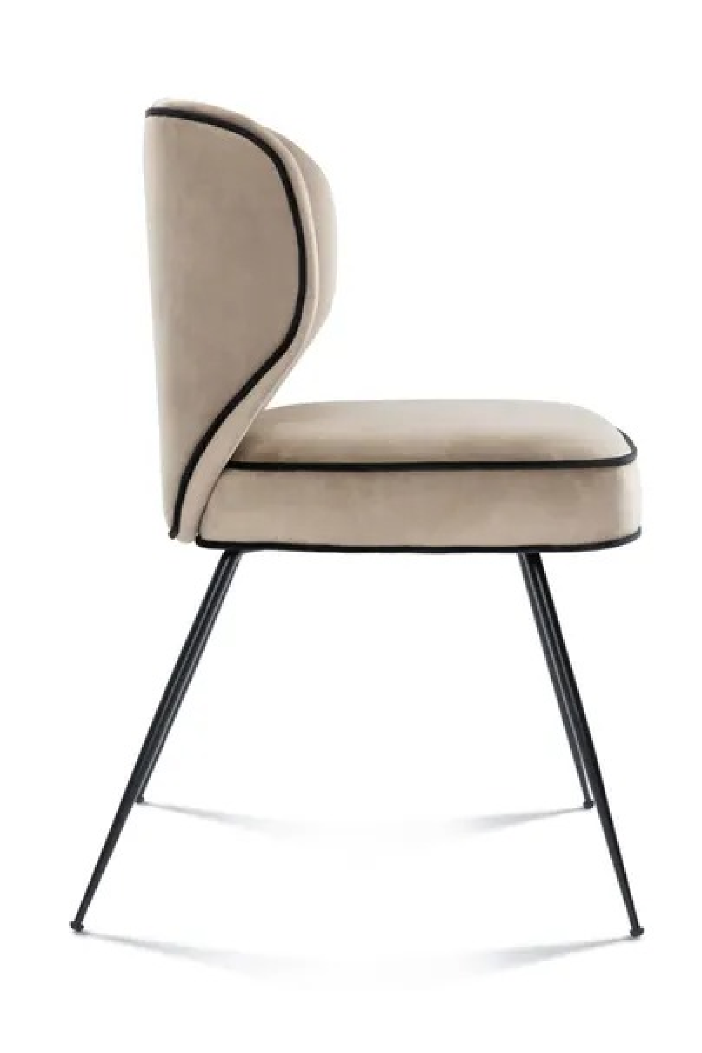 Padded Dining Chair S | NV Gallery Wayne | Oroa.com