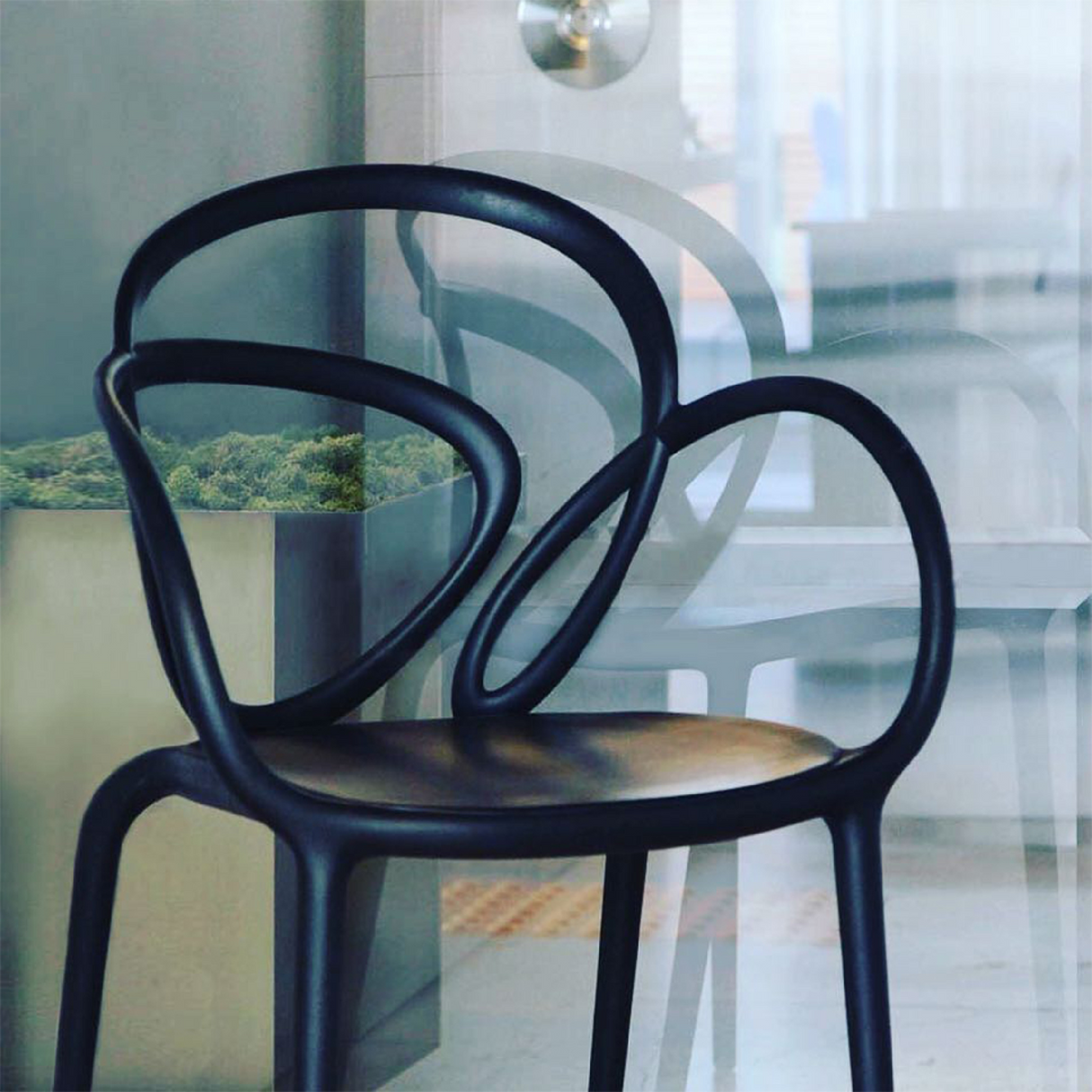 Tangled Dining Chairs (2) | Qeeboo Loop | OROA.com
