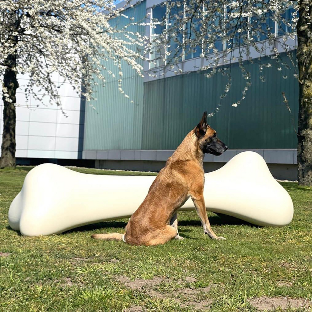 Bone Decorative Object | Qeeboo Bonos | OROA.com