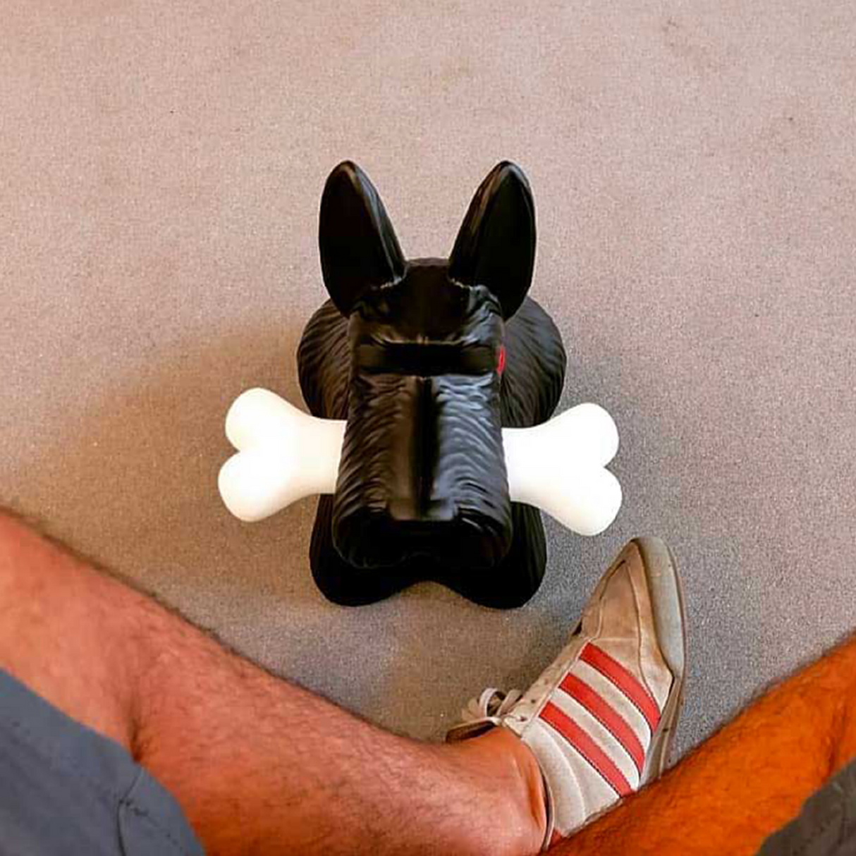 Decorative Dog Wireless Lamp | Qeeboo Scottie | OROA.com