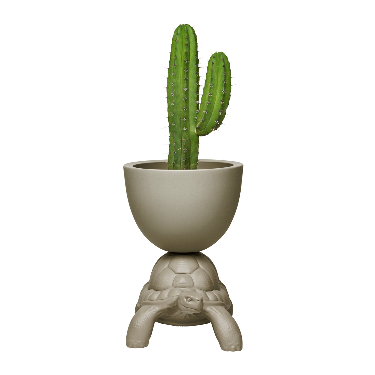 Modern Decorative Planter | Qeeboo Turtle Carry | OROA.com