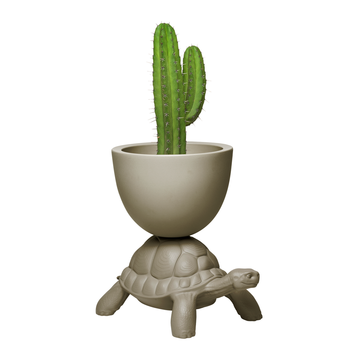 Modern Decorative Planter | Qeeboo Turtle Carry | OROA.com