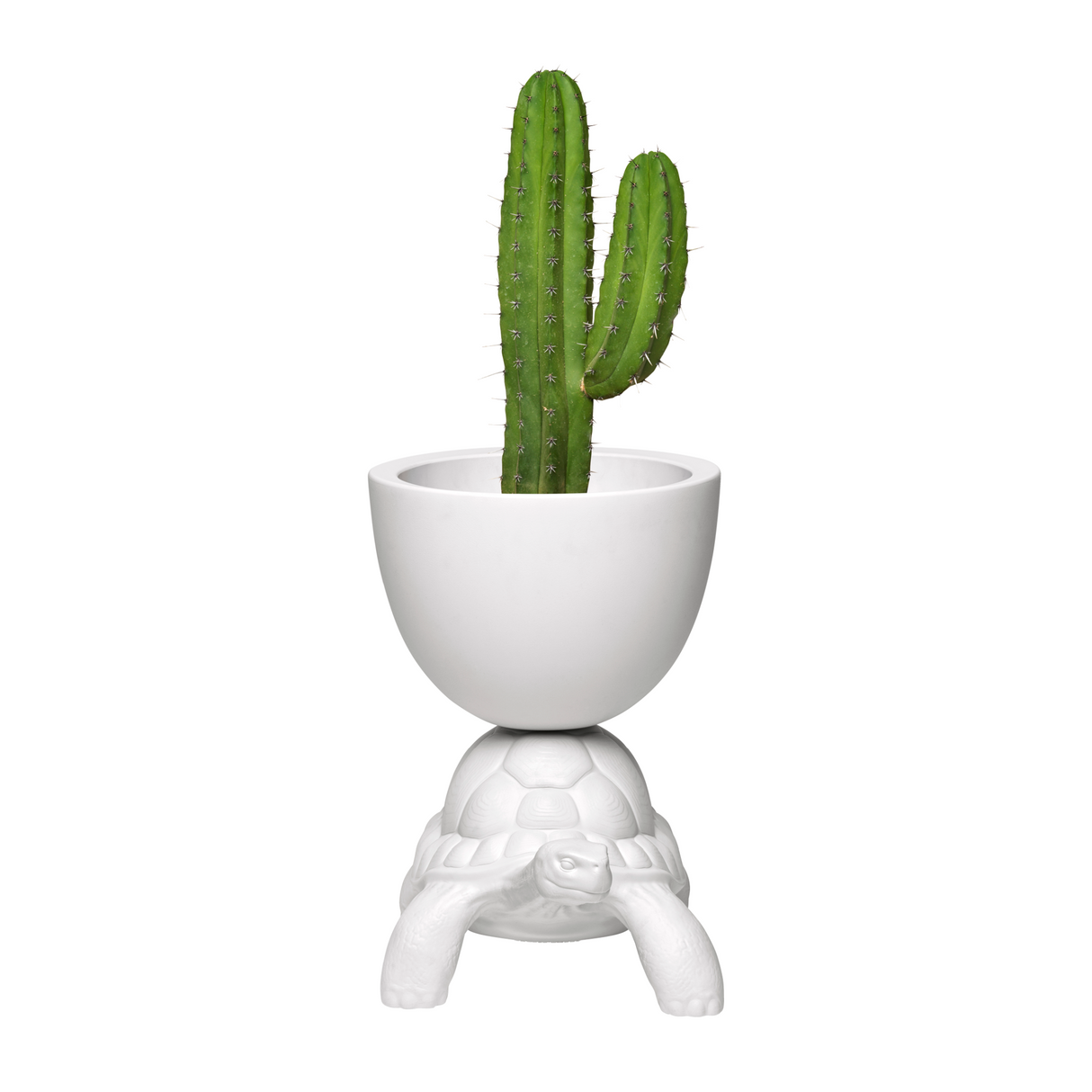 Modern Decorative Planter | Qeeboo Turtle Carry | OROA.com