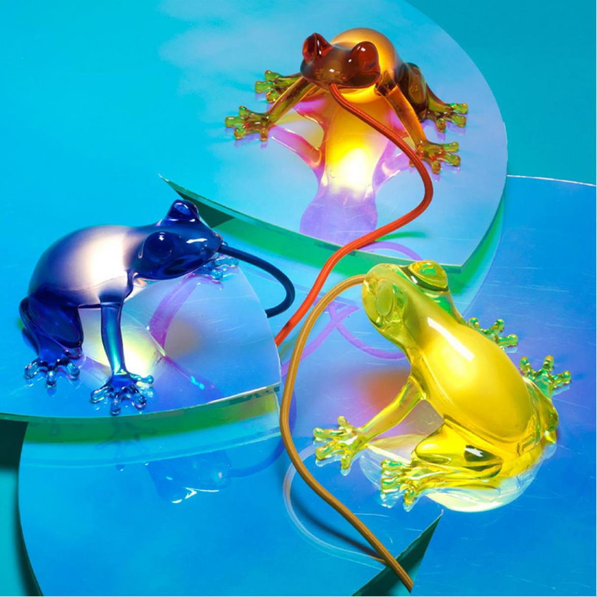 Sculptured Table/Wall Lamp | Qeeboo Hungry Frog | OROA.com