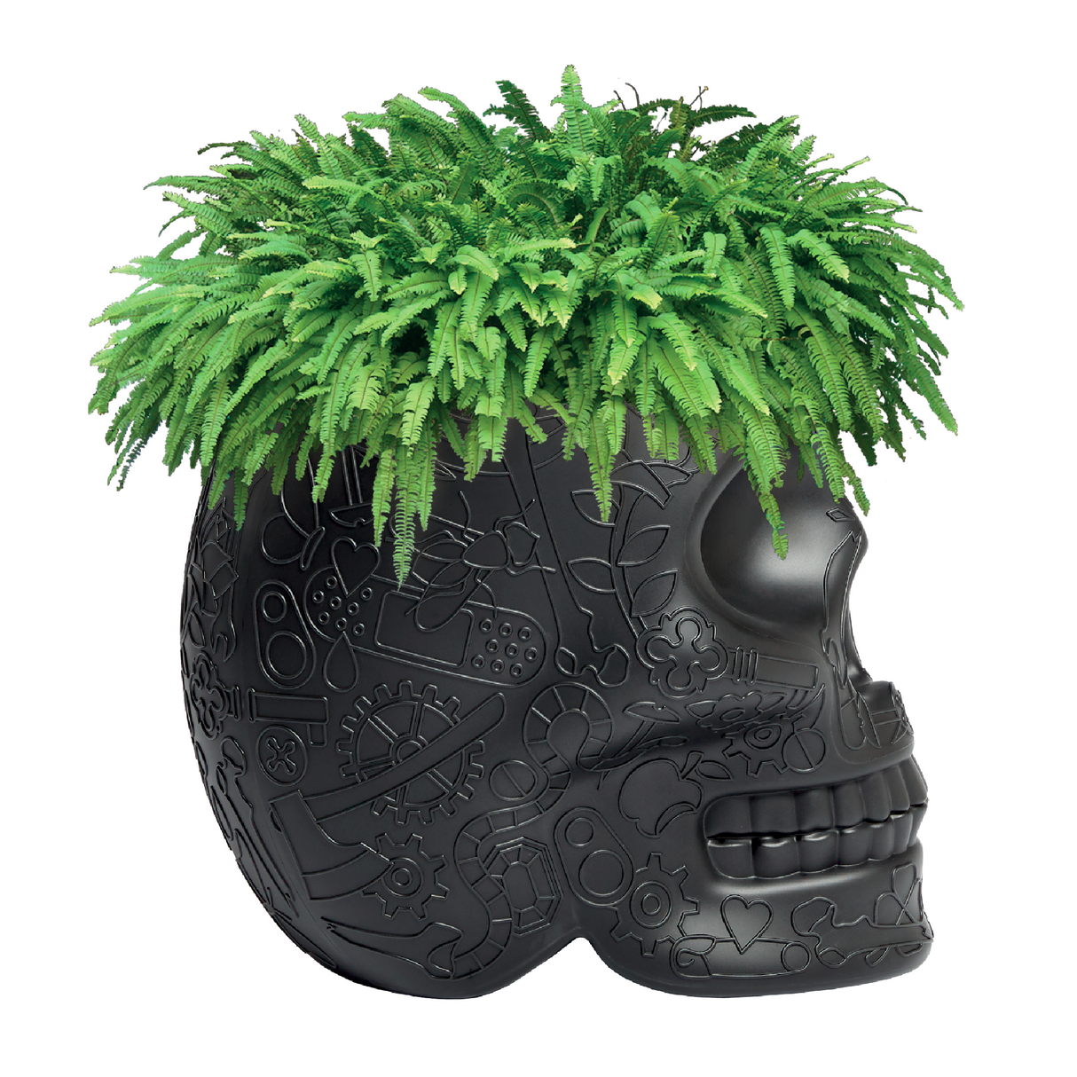Skull-Shaped Planter Champagne Cooler | Qeeboo Mexico | OROA.com