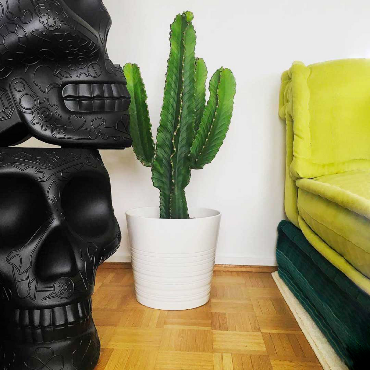 Skull-Shaped Planter Champagne Cooler | Qeeboo Mexico | OROA.com