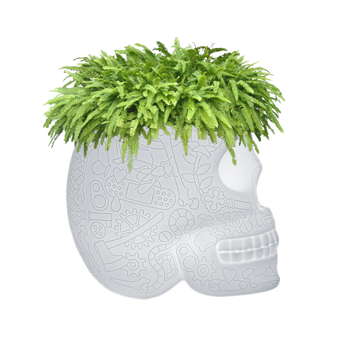 LED Planter & Champagne Cooler Lamp | Qeeboo Mexico | OROA.com