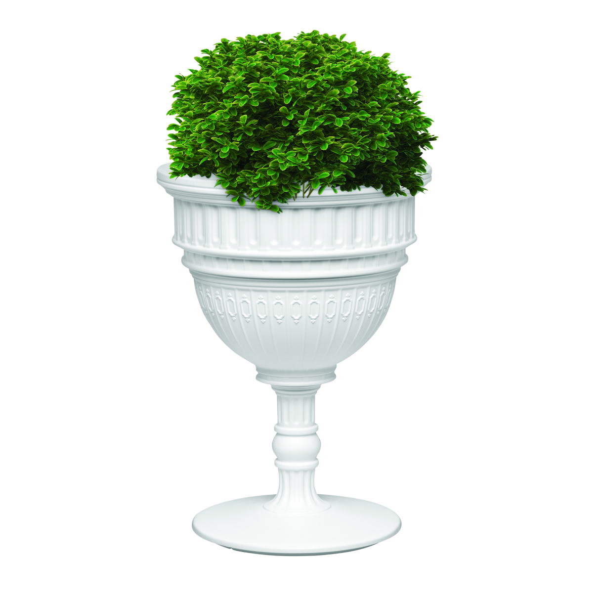 Classic Dome Planter & Champagne Cooler | Qeeboo Capitol | OROA.com