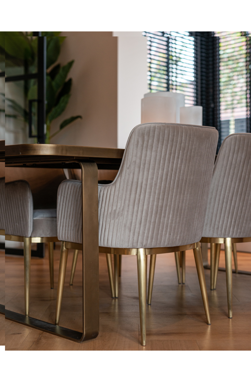 Velvet Dining Armchairs | Richmond Interiors Breeze