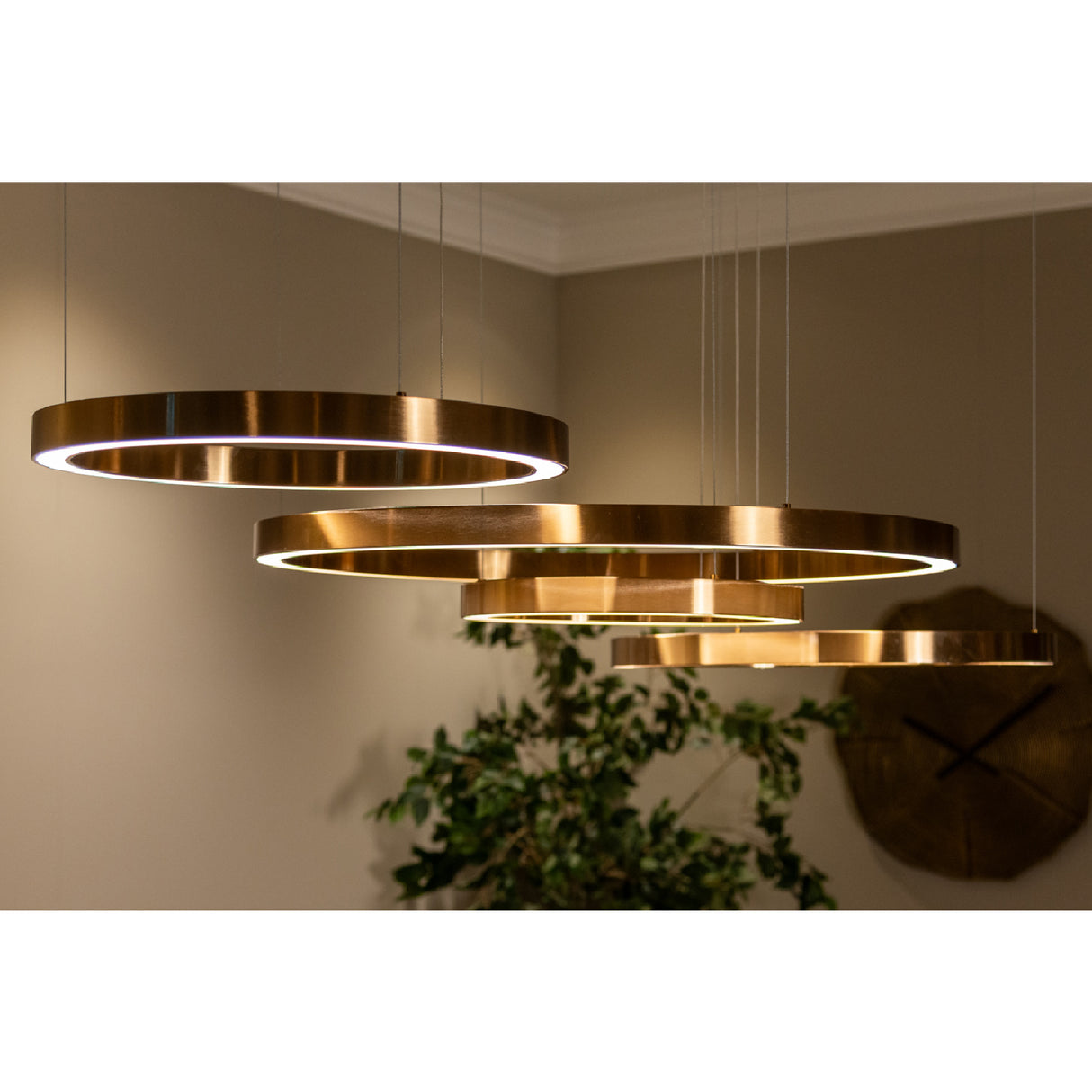 Modern European furniture - Gold Ring Chandelier - www.oroa.com | Oroa.com