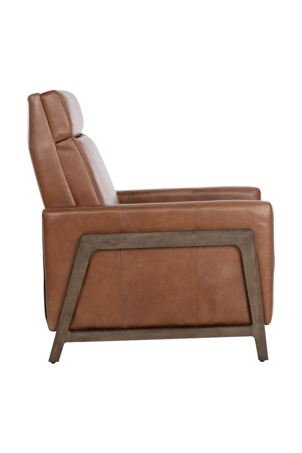 Modern European furniture - Brown Leather Recliner Chair - www.oroa.com