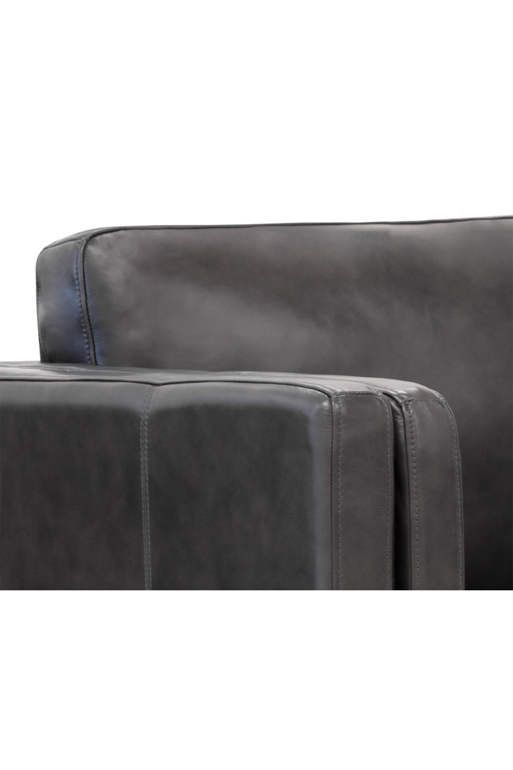 Modern European furniture - Black Leather Sofa - www.oroa.com
