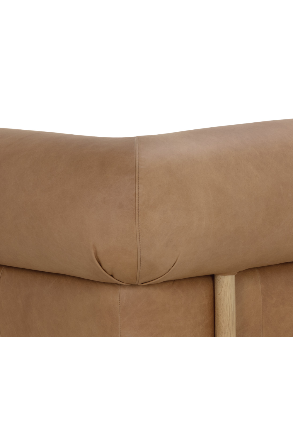 Modern European furniture - Brown Leather Sofa - www.oroa.com
