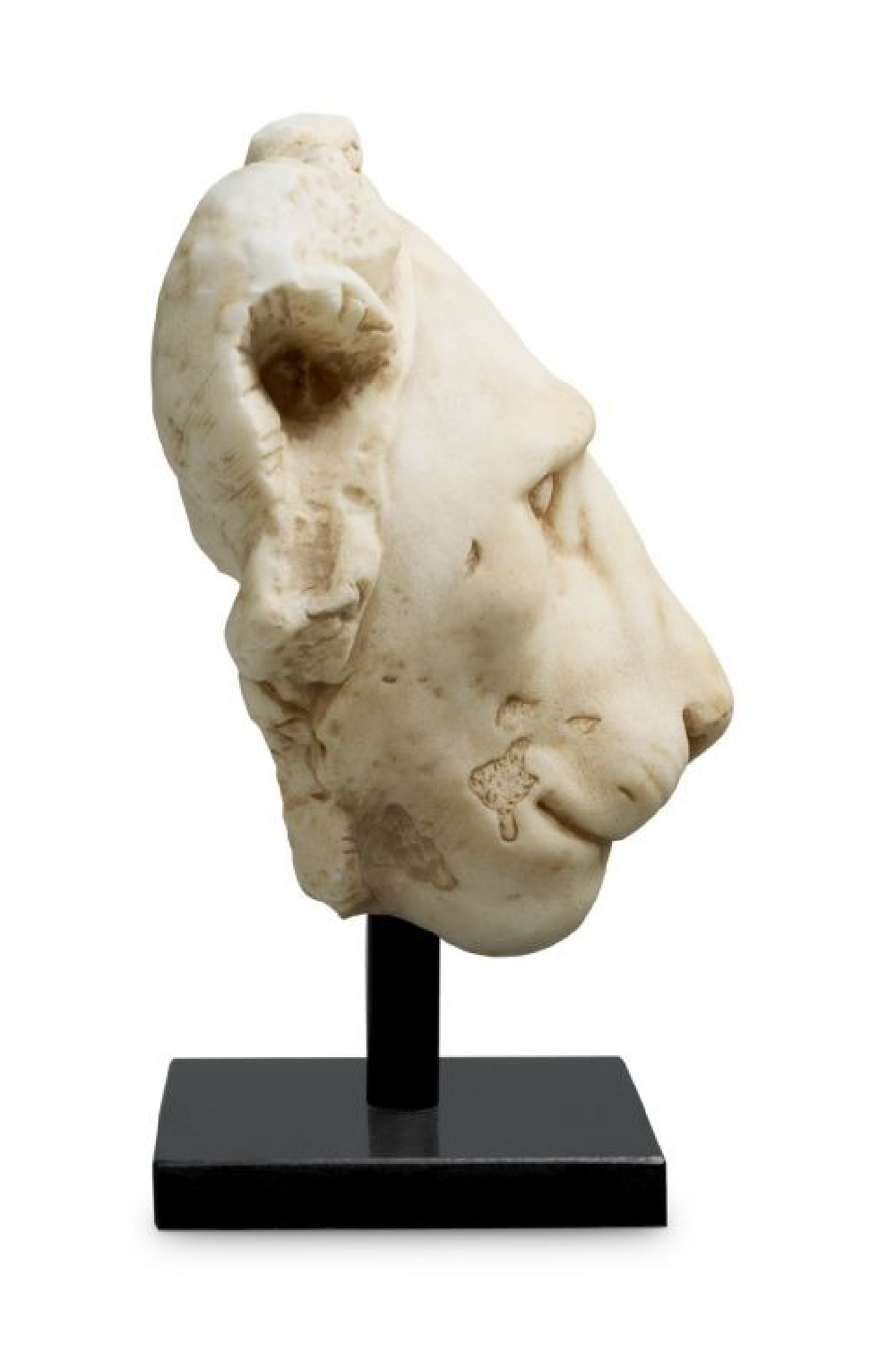 Animal Head Sculpture Object | The Met x Eichholtz Lion | Oroa.com