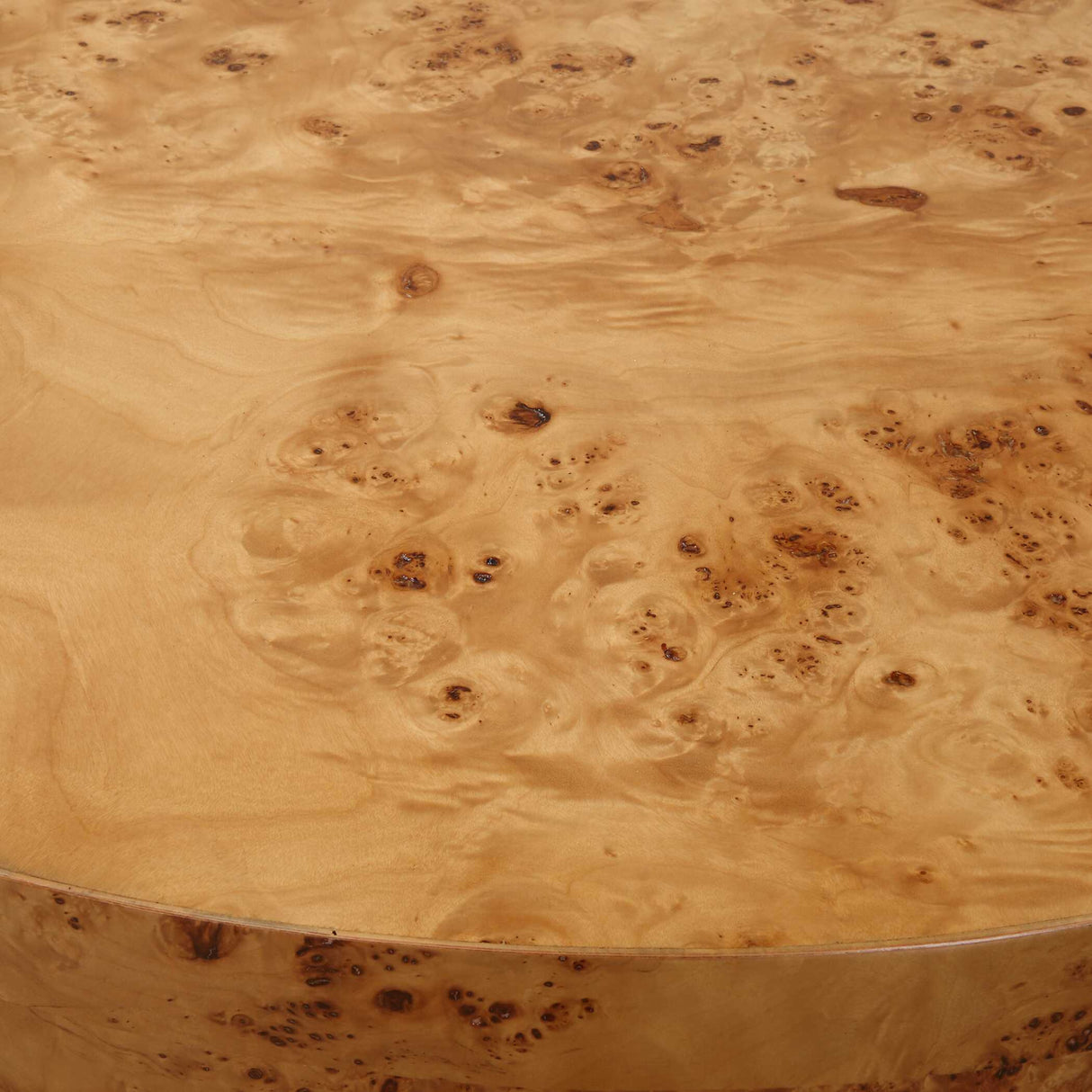 Poplar Burl Round Coffee Table | Oroa.com