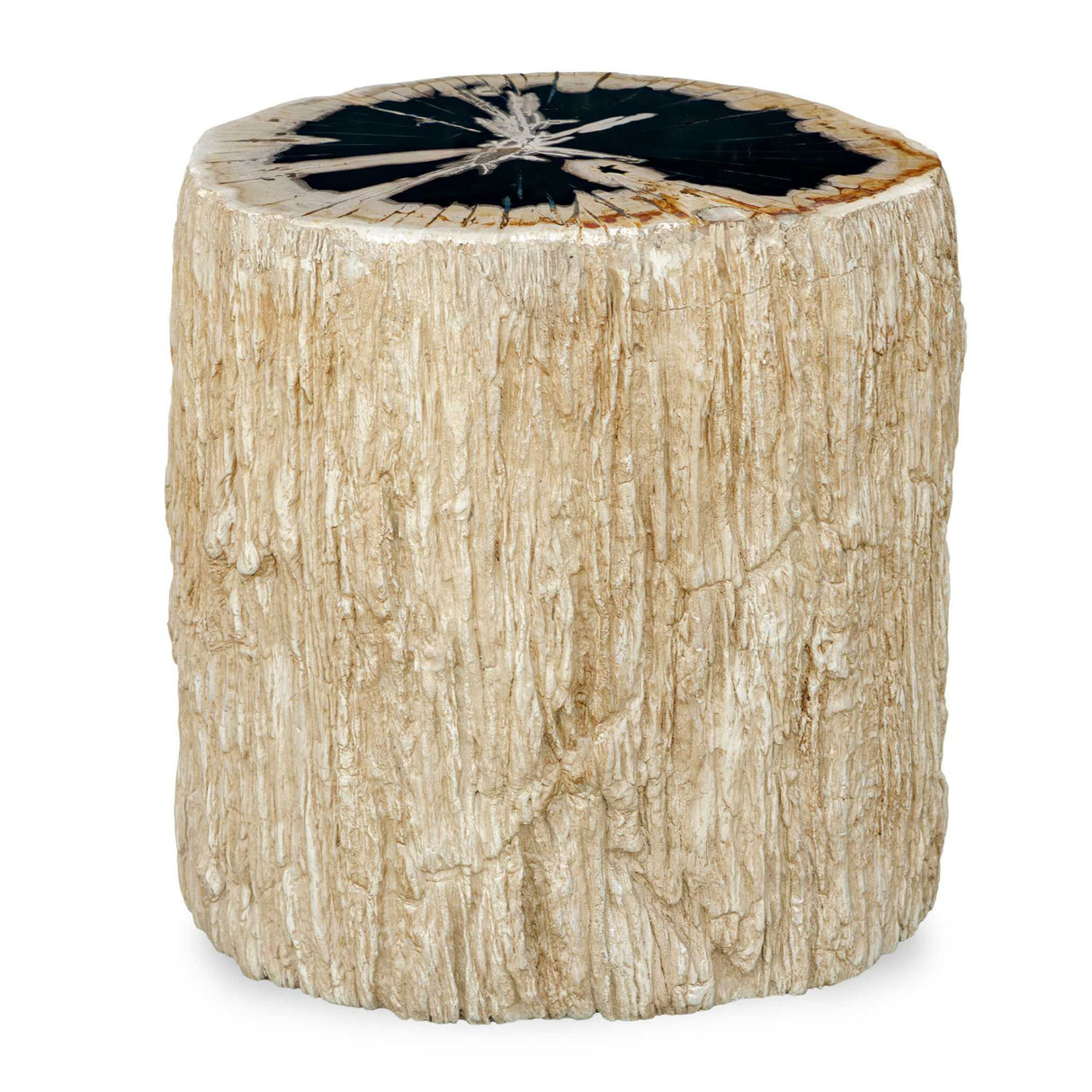 Petrified Wood Indoor/Outdoor Accent Table | Oroa.com