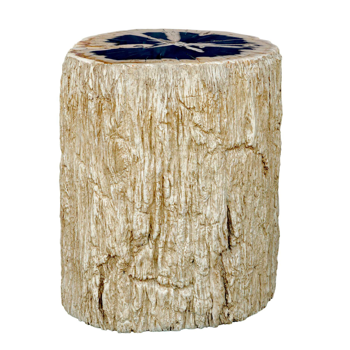Petrified Wood Indoor/Outdoor Accent Table | Oroa.com