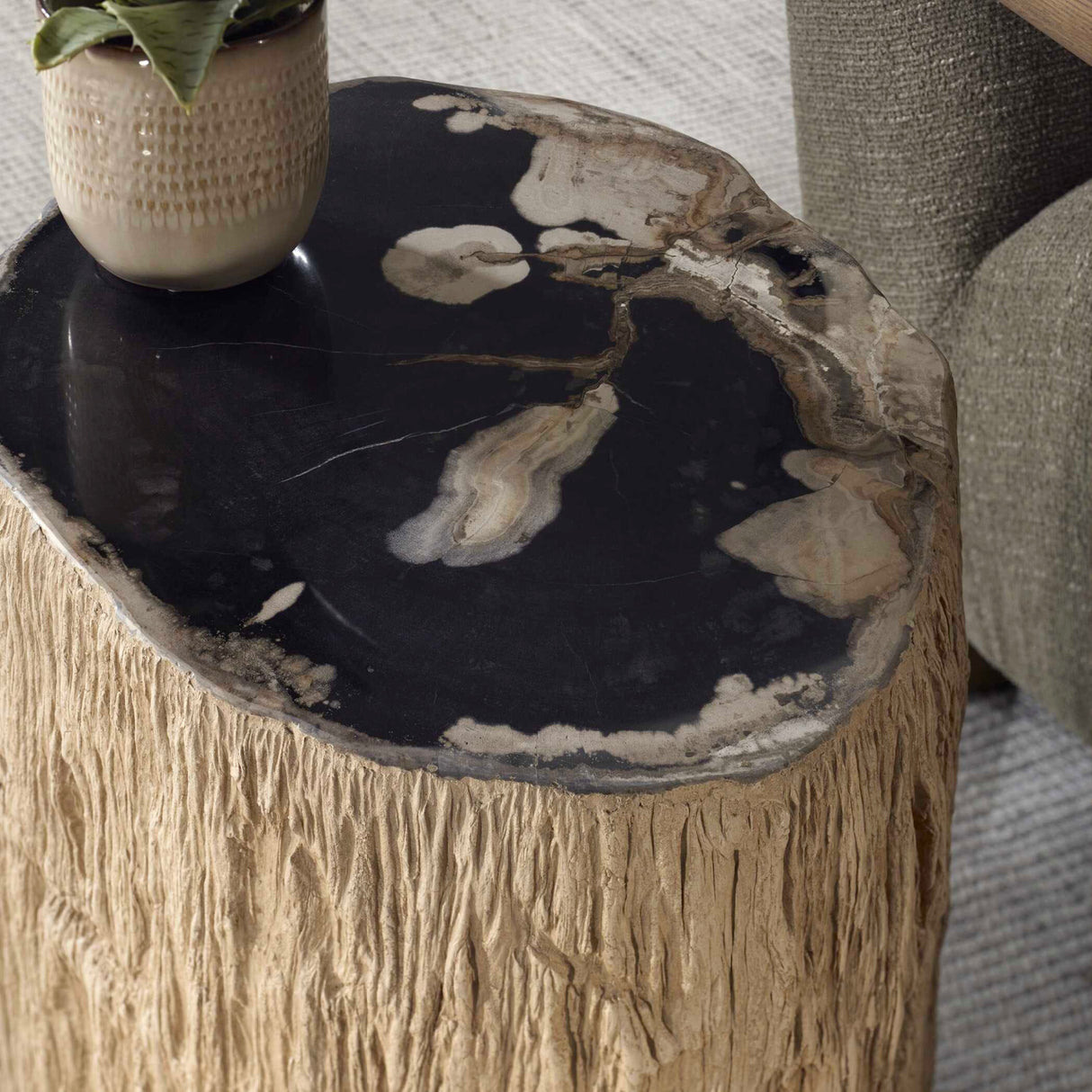 Petrified Wood Indoor/Outdoor Accent Table | Oroa.com