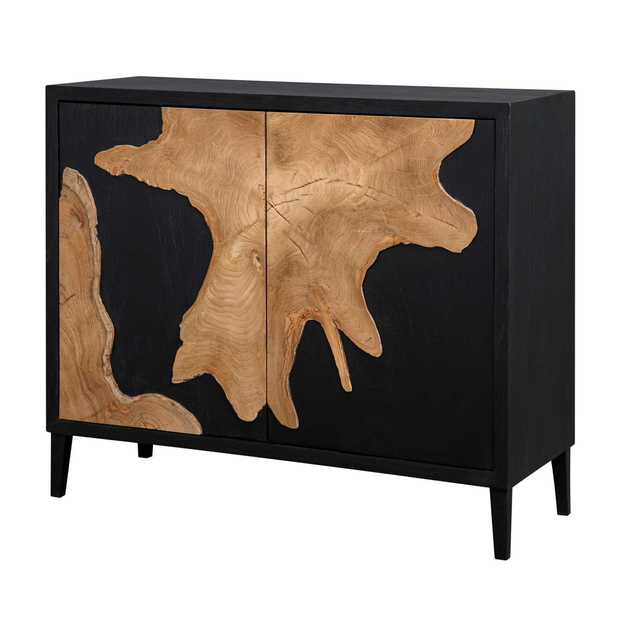 Black Wooden 2-Door Cabinet | Oroa.com