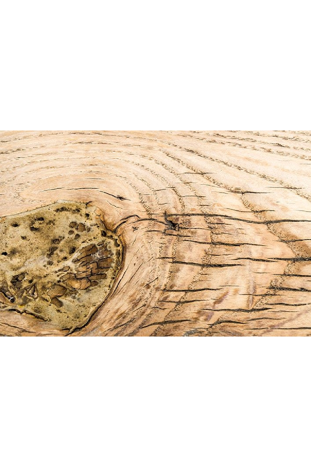 Rustic Wooden Bench | Versmissen | Oroa.com