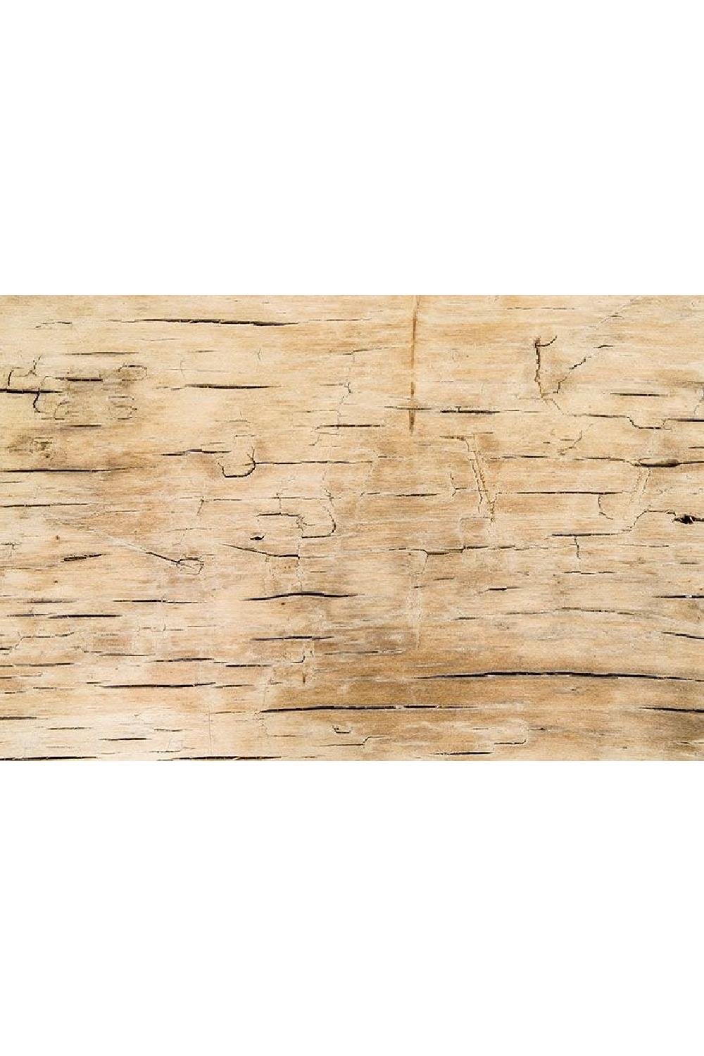 Rustic Wooden Bench | Versmissen | Oroa.com