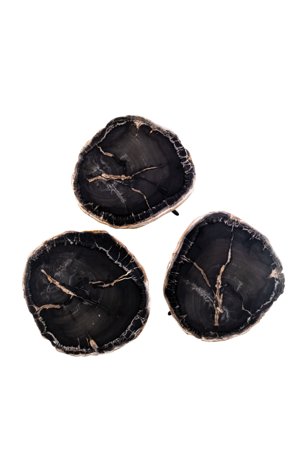 Petrified Wood Coffee Table Set (3) | Versmissen | Oroa.com