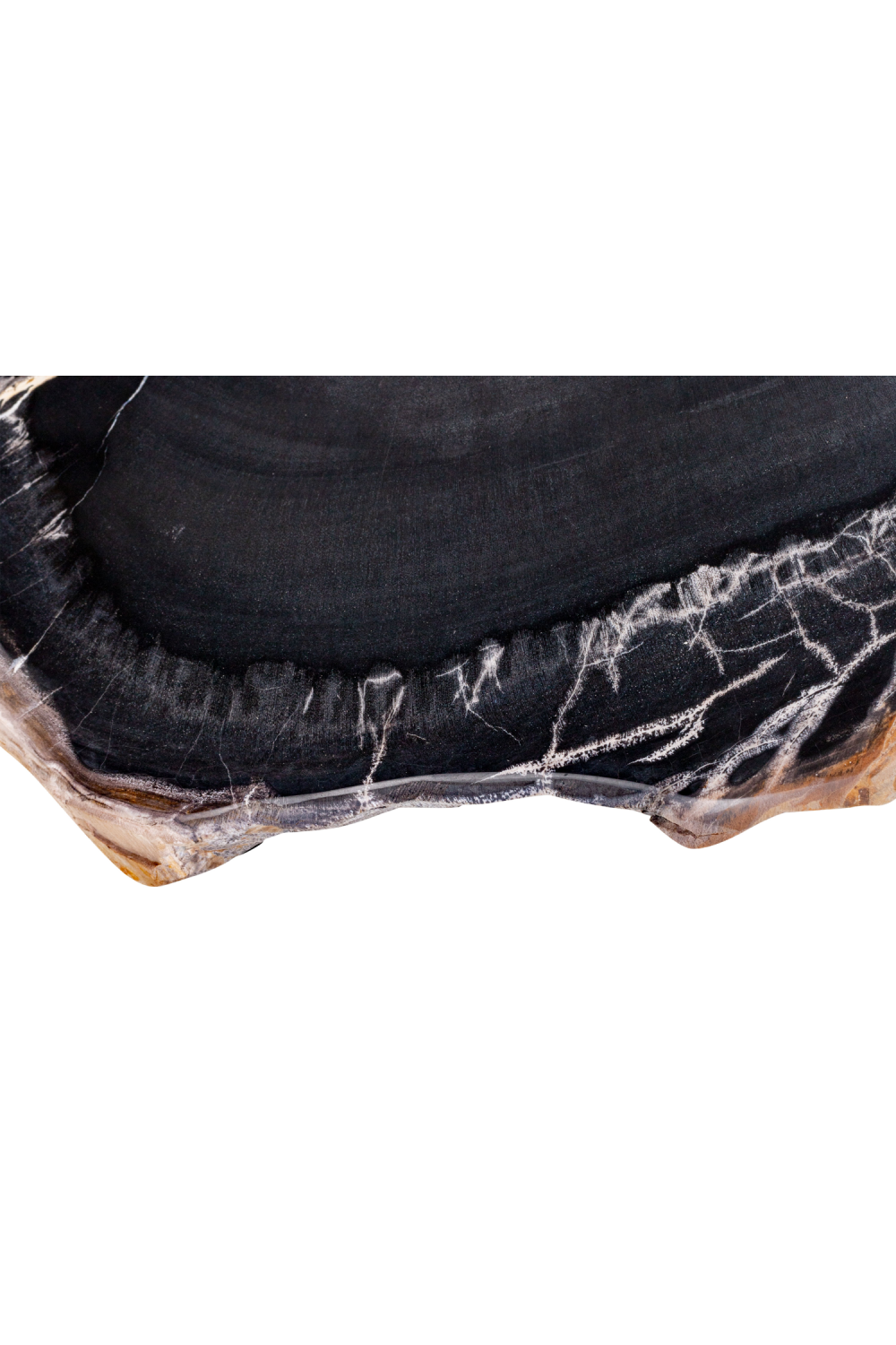 Petrified Wood Coffee Table Set (3) | Versmissen | Oroa.com