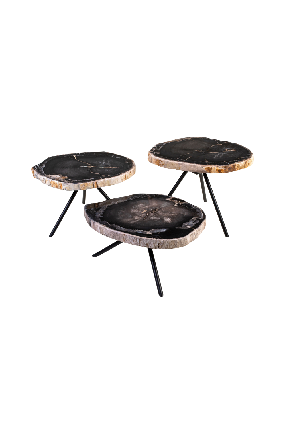Petrified Wood Coffee Table Set (3) | Versmissen | Oroa.com