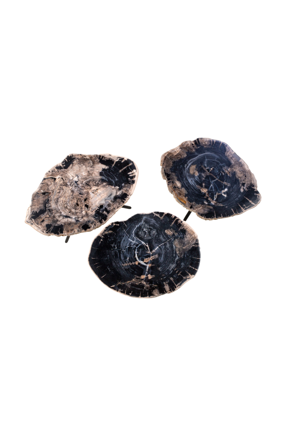 Petrified Wood Coffee Table Set (3) | Versmissen | Oroa.com