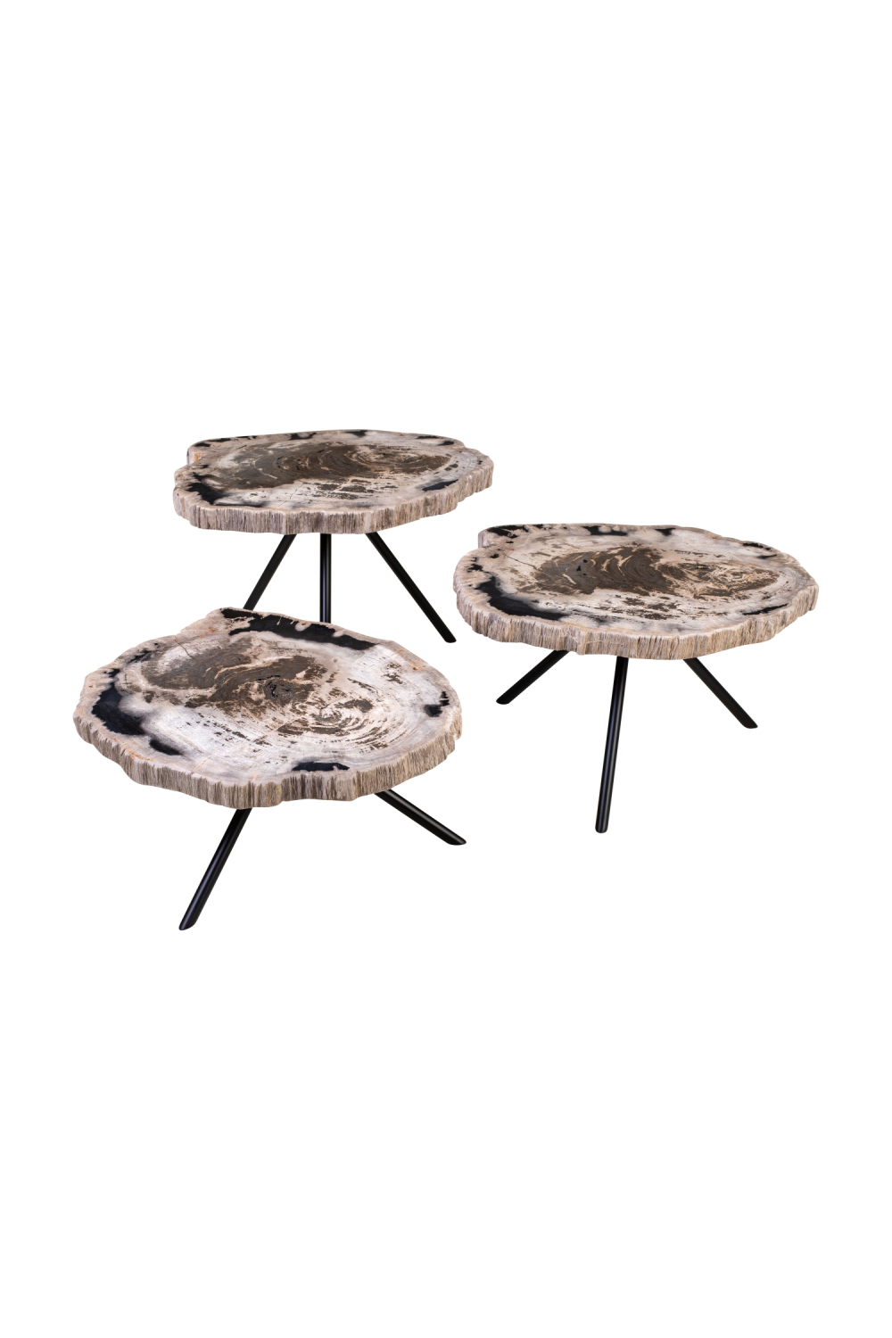 Petrified Wood Coffee Table Set (3) | Versmissen | Oroa.com