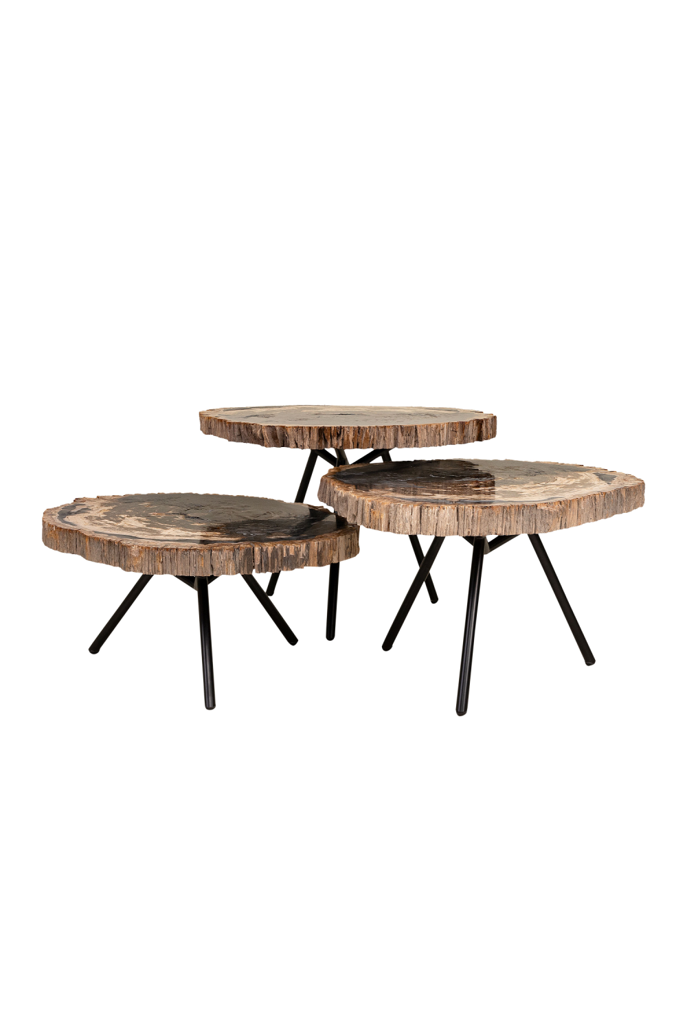 Petrified Wood Coffee Table Set (3) | Versmissen | Oroa.com