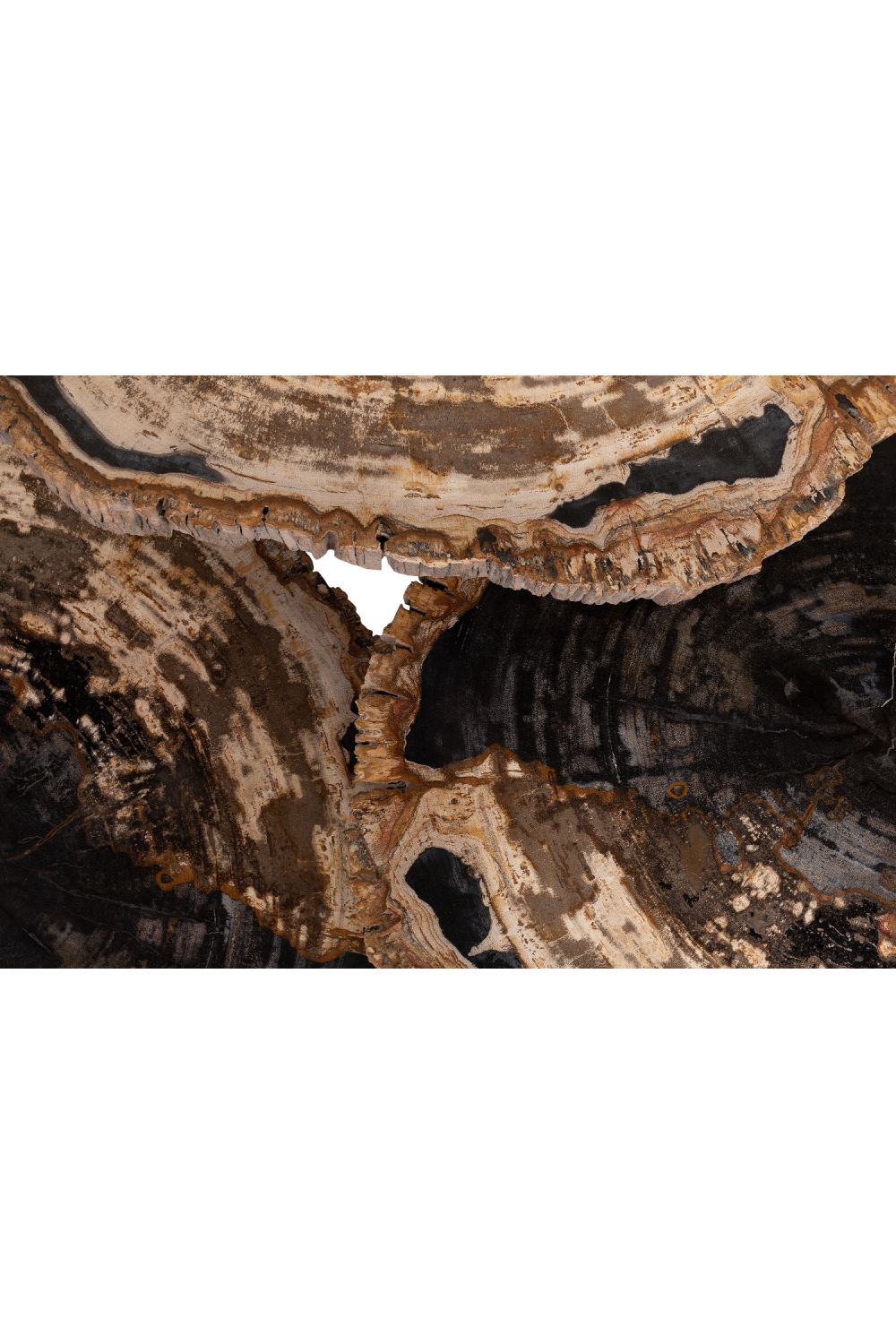 Petrified Wood Coffee Table Set (3) | Versmissen | Oroa.com