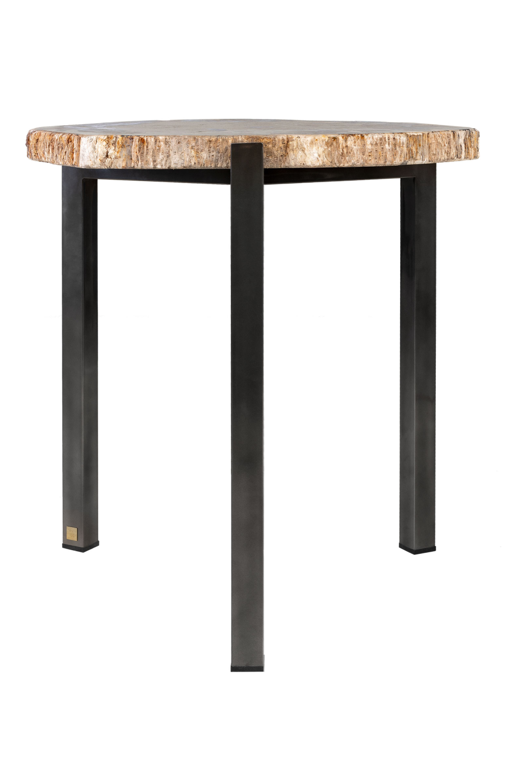 Petrified Wood Occasional Table | Versmissen | Oroa.com