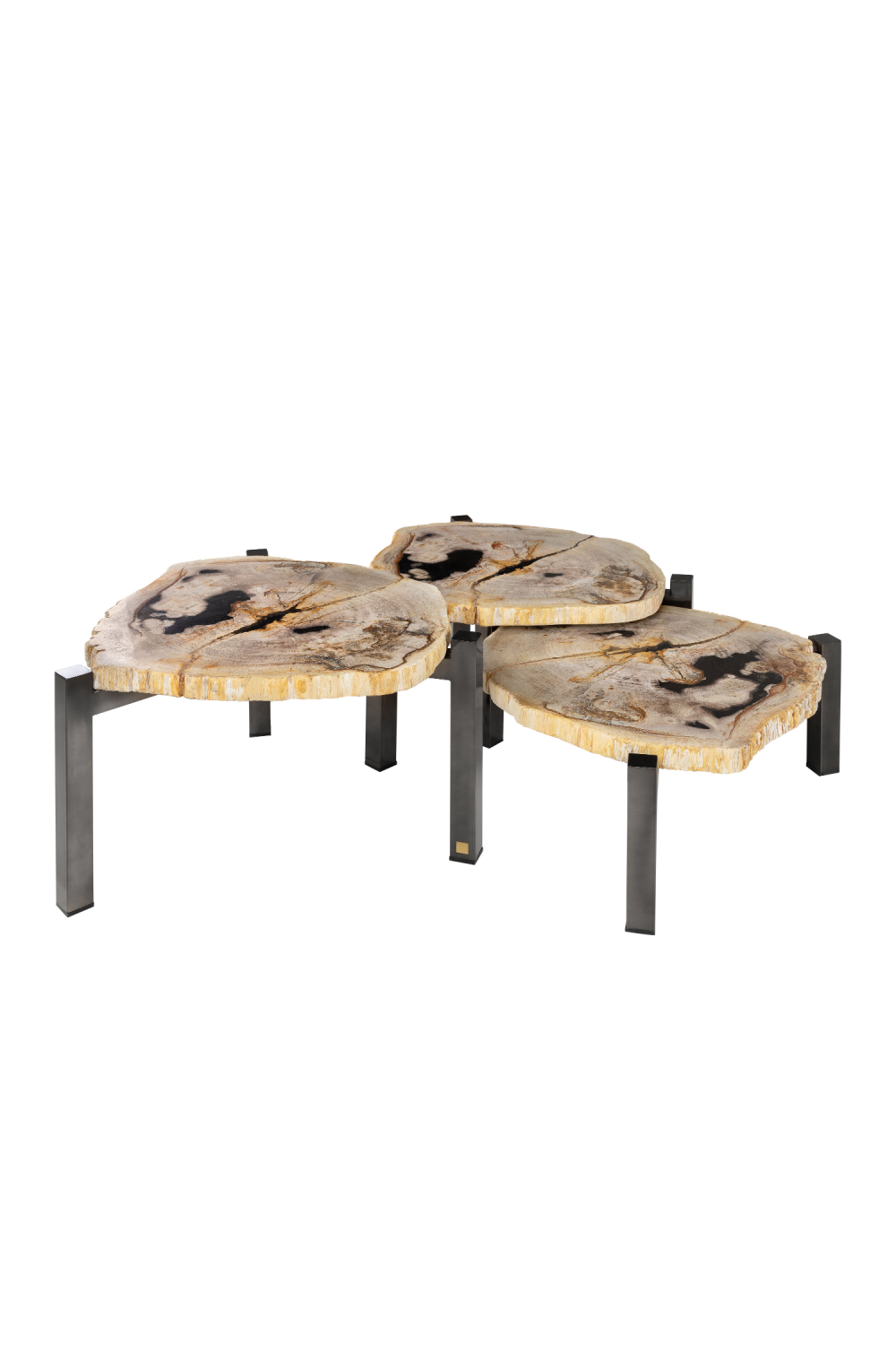 Petrified Wood Nested Coffee Tables (3) | Versmissen | Oroa.com