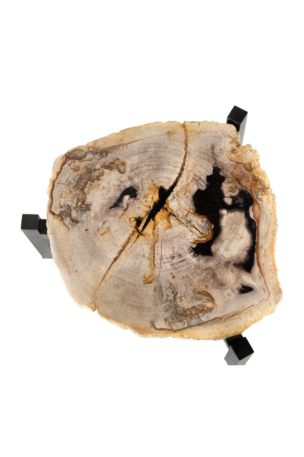 Petrified Wood Nested Coffee Tables (3) | Versmissen | Oroa.com