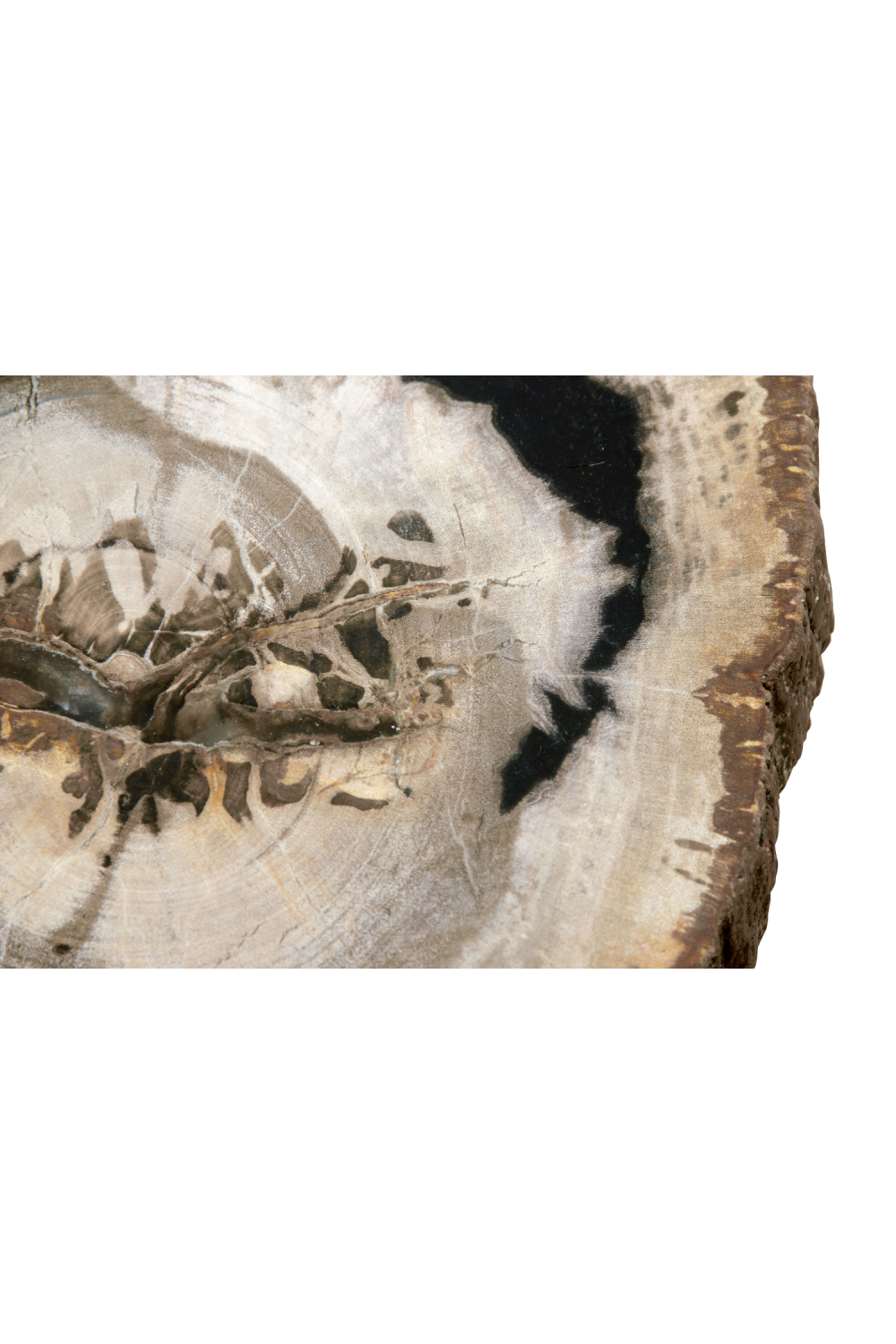 Organic Coffee Table | Versmissen | Oroa.com