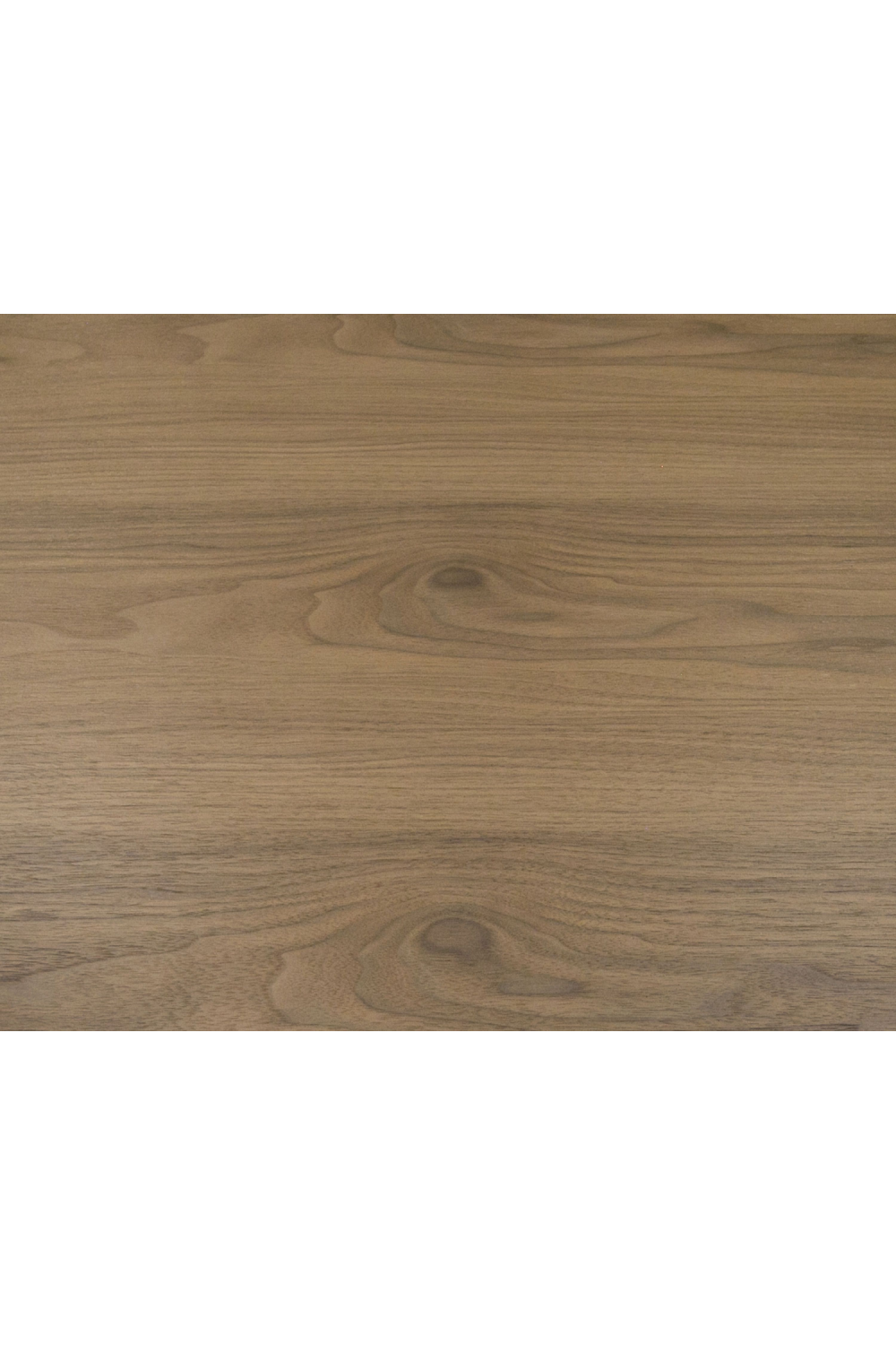 Walnut Veneer 2-Drawer Coffee Table | OROA Modern Heloise | Oroa.com