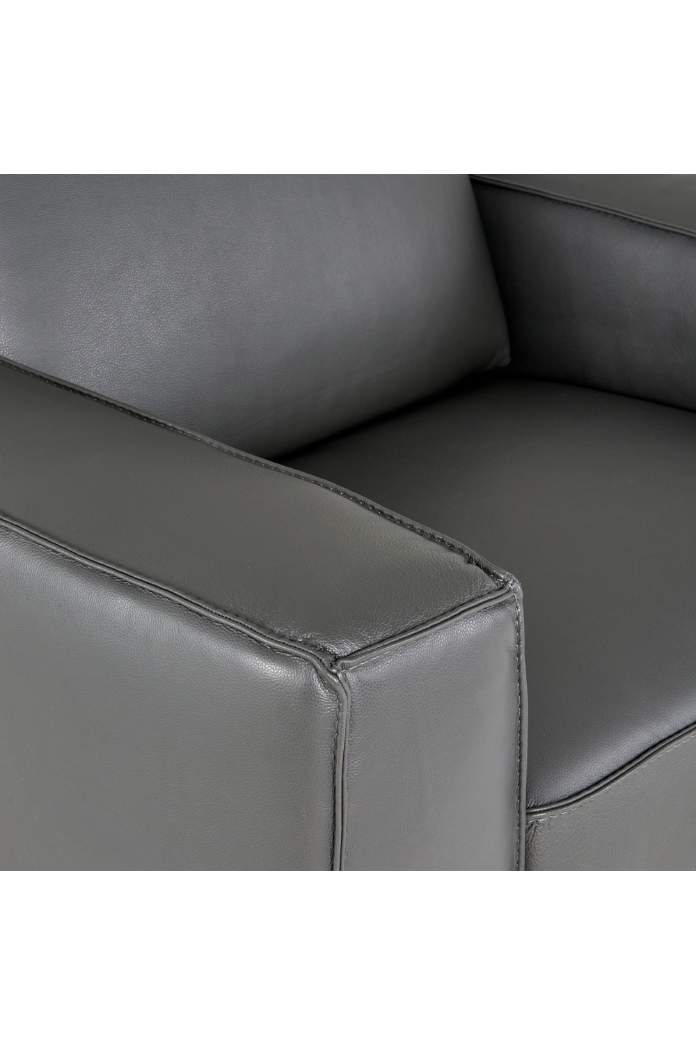 Leather Lounge Armchair | Oroa.com