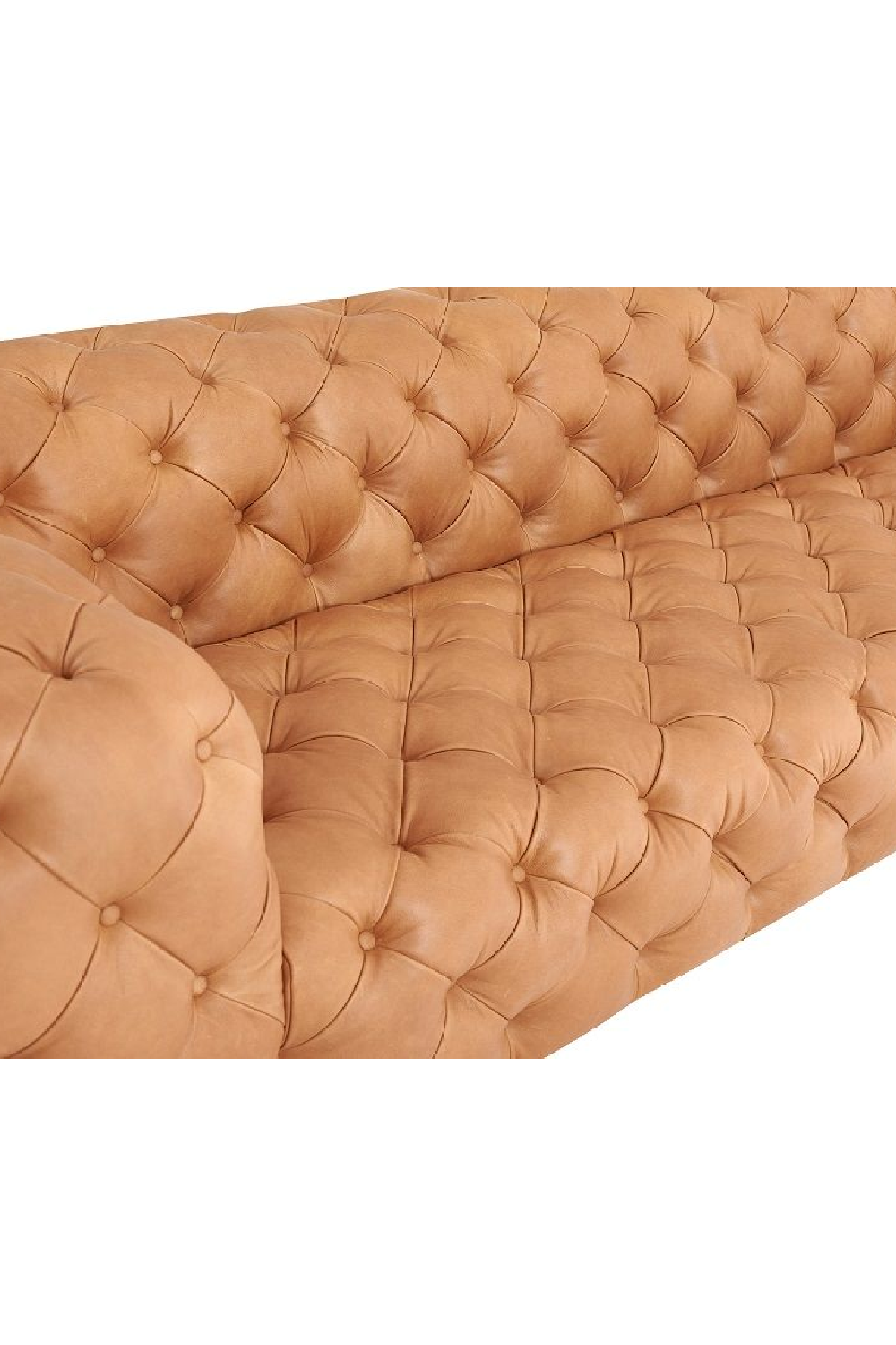 Tufted Leather Sofa | OROA Modern Dexter | Oroa..com