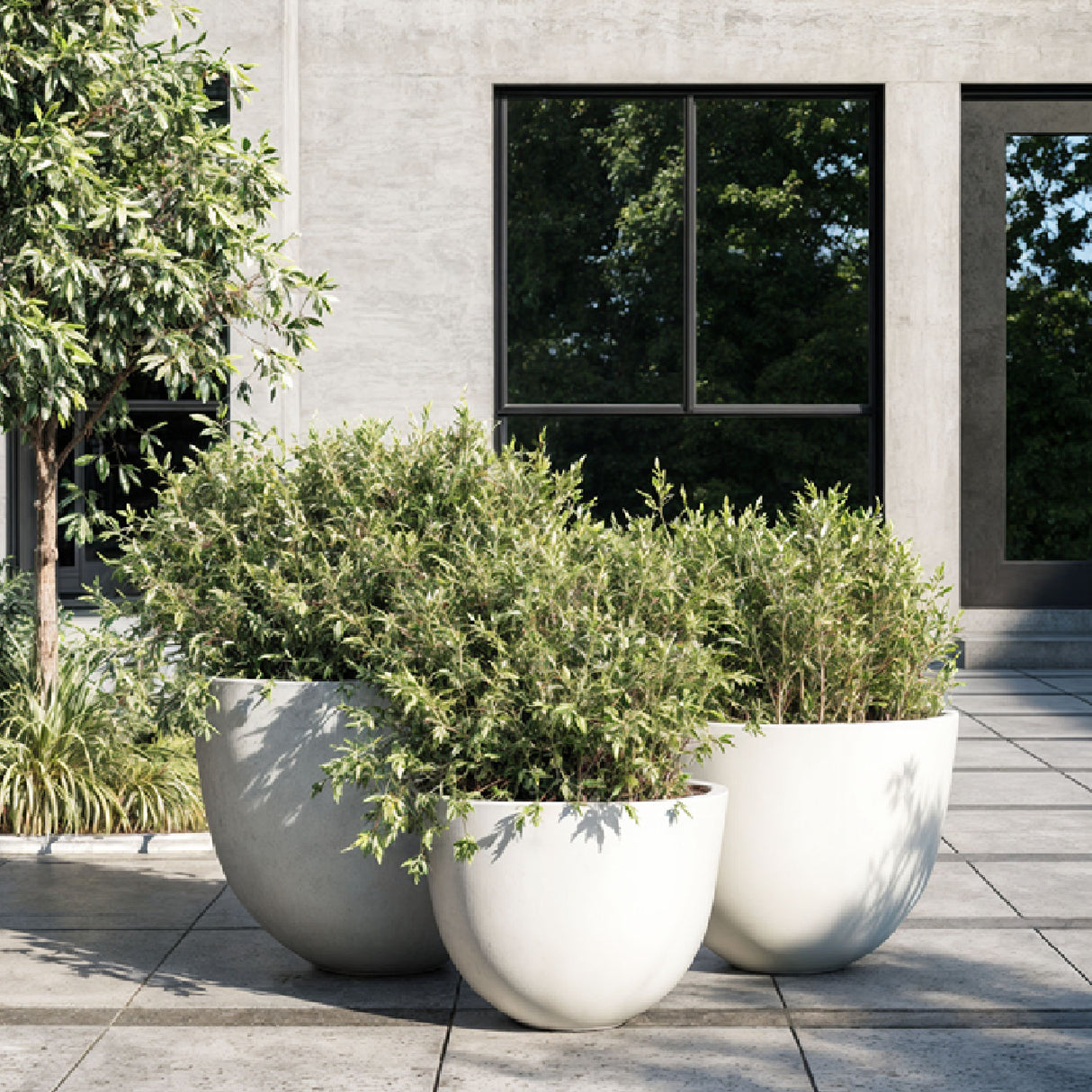 White Concrete Planter Set (3) | Oroa.com