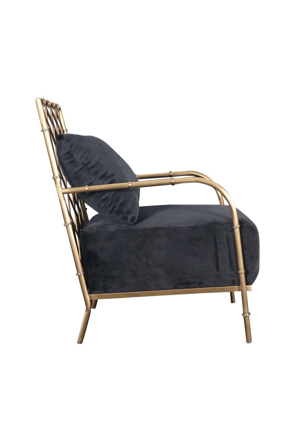 Velvet Padded Accent Chair | OROA Modern Ignacio | Oroa.com